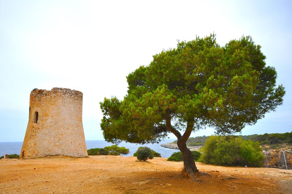 Houm Villa Cala Pi Cala Pi  Rom bilde